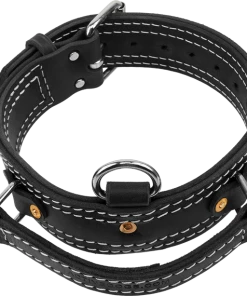 Leather Collar With Flat Handle 2"