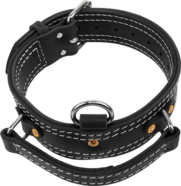 Leather Collar With Flat Handle 2"