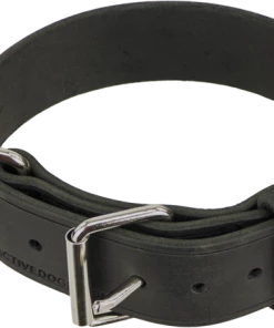 Leather Agitation Dog Collar 2"