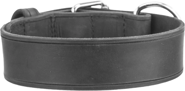 Leather Agitation Dog Collar 2" - Image 3