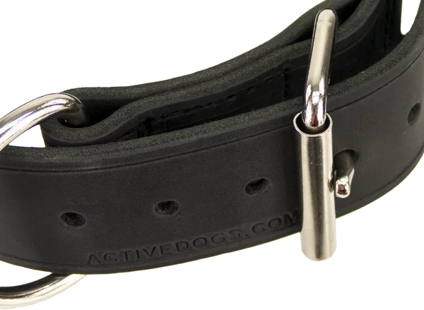 Leather Agitation Dog Collar 2" - Image 4