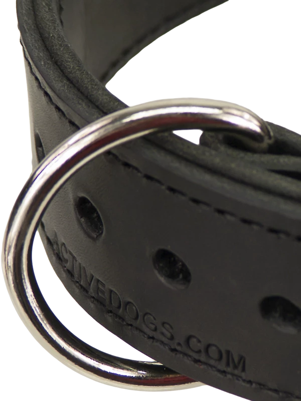 Leather Agitation Dog Collar 2" - Image 5