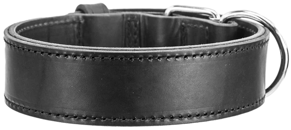 Leather Agitation Dog Collar 2" - Image 8