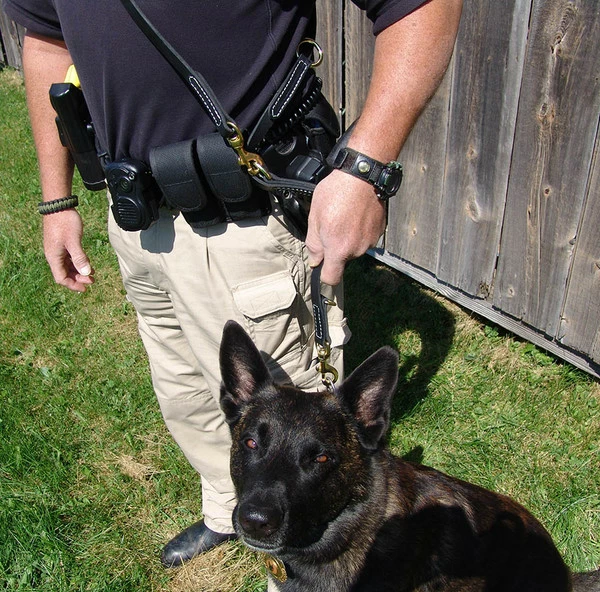 Hands Free Leather Dog Leash 6' - Image 4