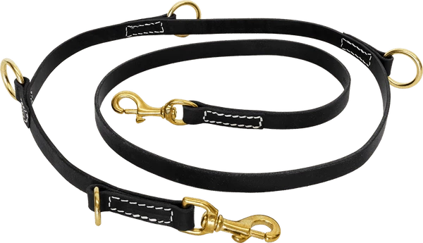 Hands Free Leather Dog Leash 6'