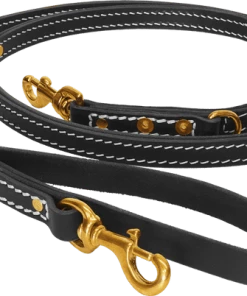 Ultimate Leather Hands Free Dog Leash 6'