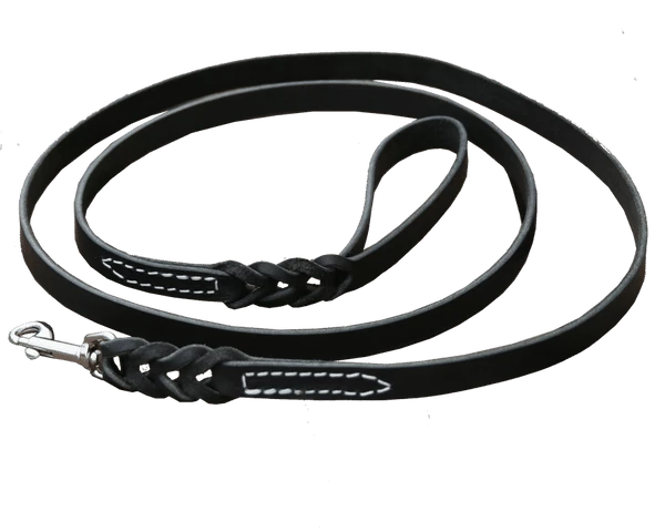 Braided Leather Dog Leash 1"