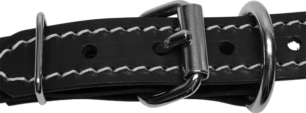 Stitched Leather Dog Collar 1"