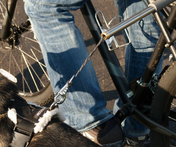 WalkyDog Plus - Stainless Steel - Image 7