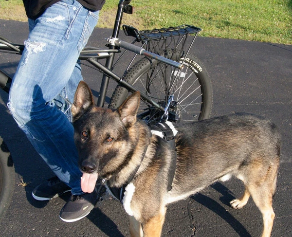 WalkyDog Plus - Stainless Steel - Image 9