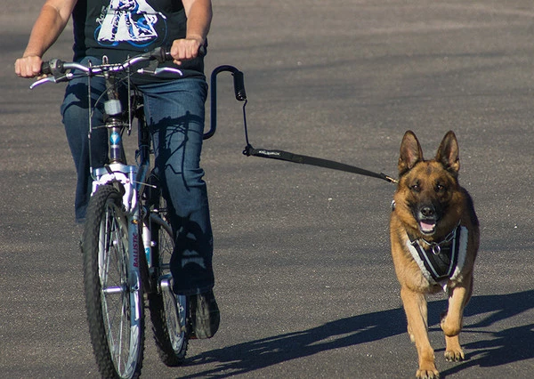 Hundcycler Padded Dog Harness - Image 6