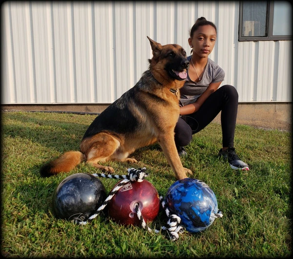 Muscle Building & Exercise Dog Ball W/ Rope - Image 4