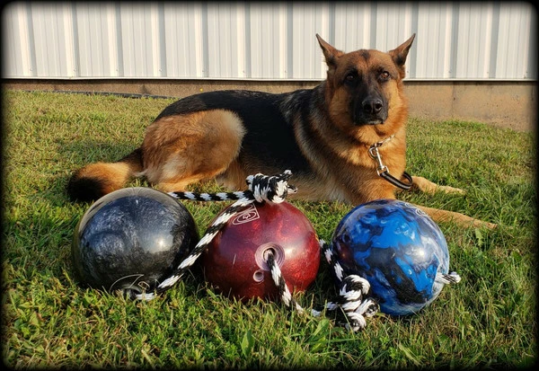 Muscle Building & Exercise Dog Ball W/ Rope - Image 9
