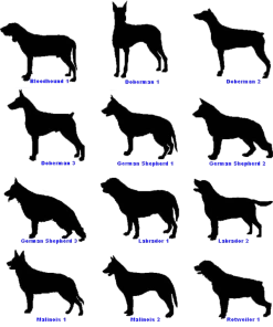 Dog Breed Decals 6 Inch X 4 Inch