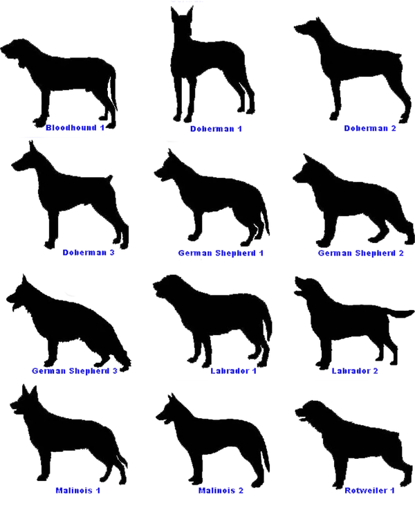 Dog Breed Decals 6 Inch X 4 Inch