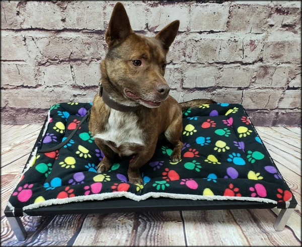 Reversible Fleece Cushion Pad For Raised Dog Bed - Image 3