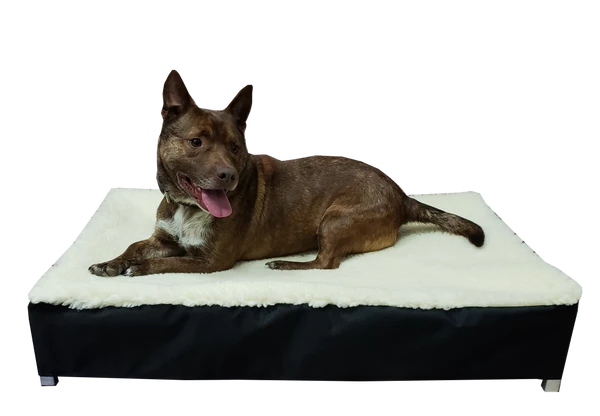 Raised Dog Bed Hi-loft Sherpa Slip Cover