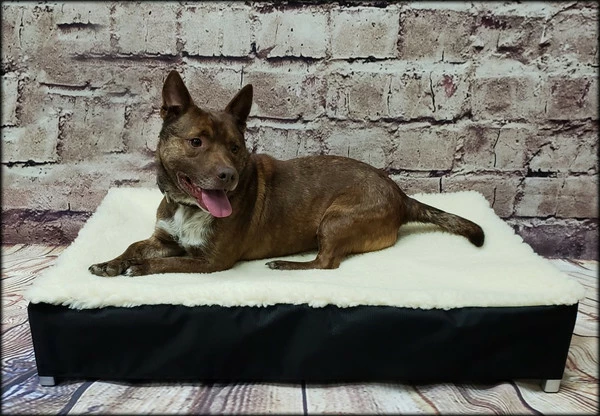 Raised Dog Bed Hi-loft Sherpa Slip Cover - Image 6