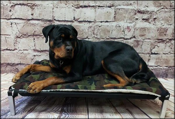 Raised Dog Bed W/ Ballistic Cover & Aluminum Frame - Image 13