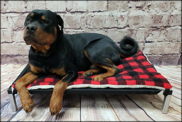 Raised Dog Bed W/ Ballistic Cover & Aluminum Frame - Image 2