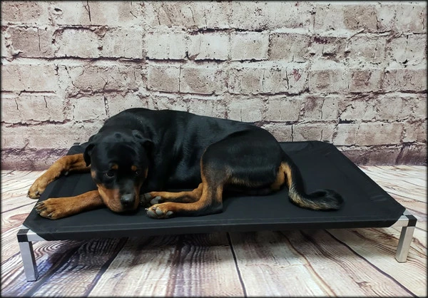 Raised Dog Bed W/ Ballistic Cover & Aluminum Frame - Image 4
