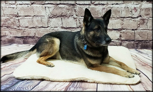 Orthopedic Hi-Loft Sherpa Fleece Dog Beds - Image 8