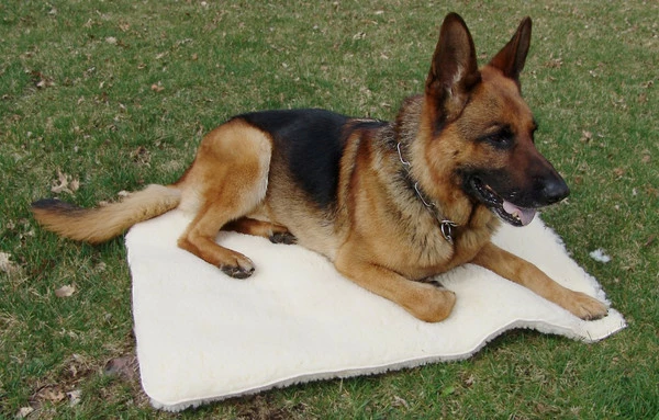 Hi-Loft Sherpa Mats And Rolls - Image 2