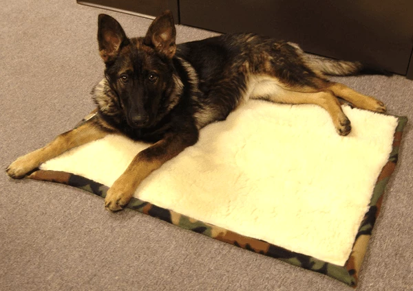 Good Sense Fleece & Sherpa Dog Bed - Image 10