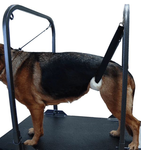 Dog Grooming Under Belly Support - Image 3