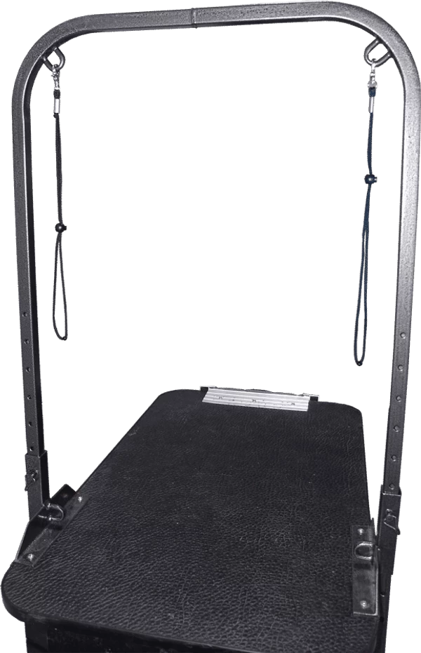 Deluxe Grooming Stand W/ Double Arm Overhead - Image 2