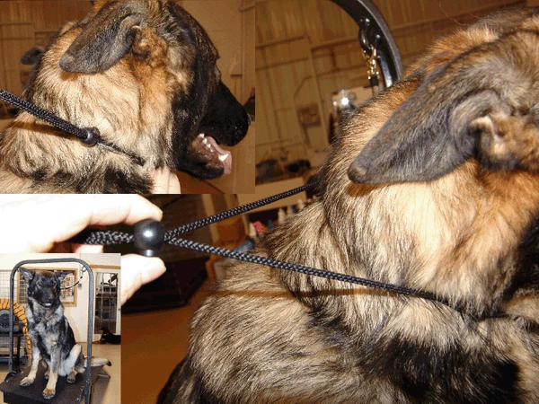 Deluxe Grooming Stand W/ Double Arm Overhead - Image 5