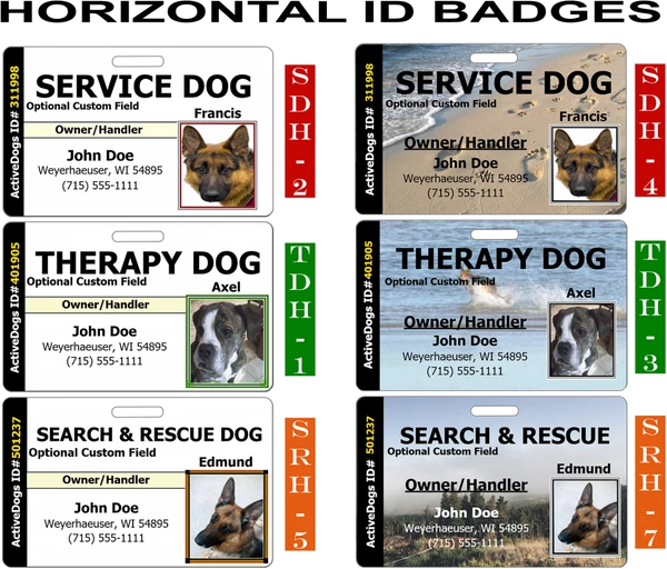 Horizontal Identification Card + Free Digital Copy - Image 2