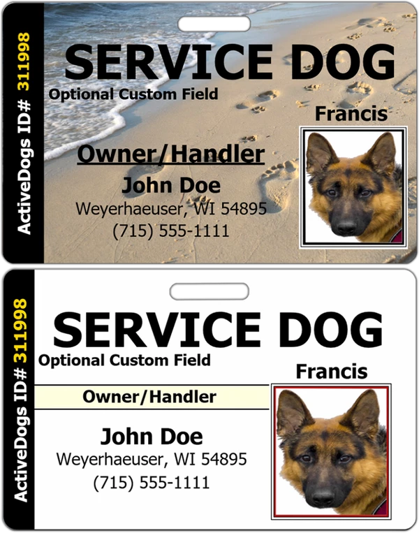 Horizontal Identification Card + Free Digital Copy