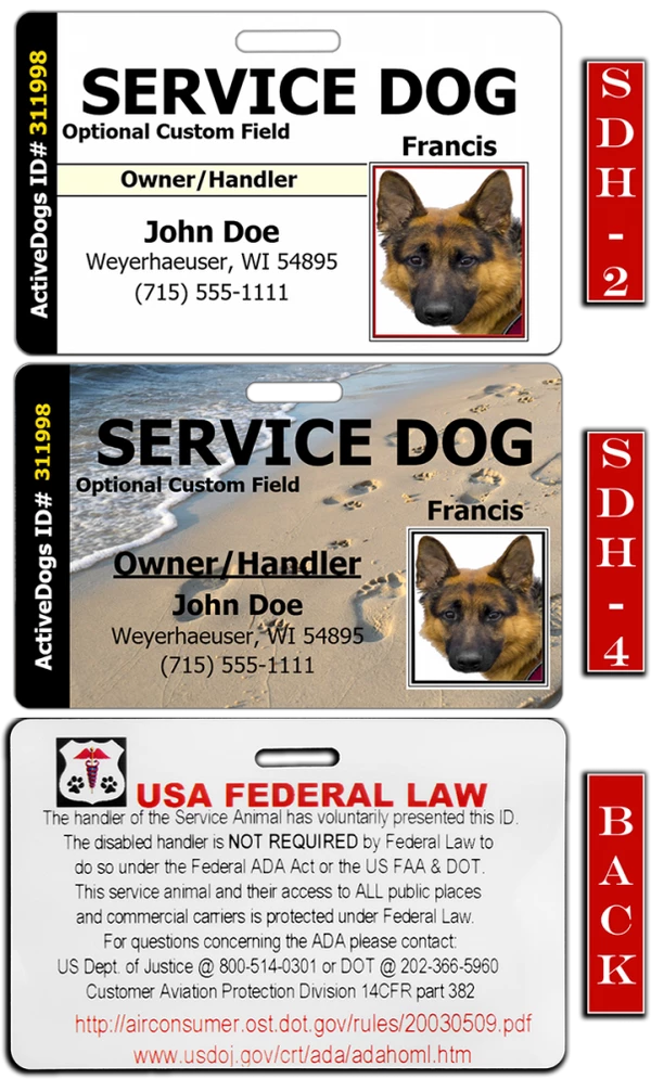 Horizontal Identification Card + Free Digital Copy - Image 3