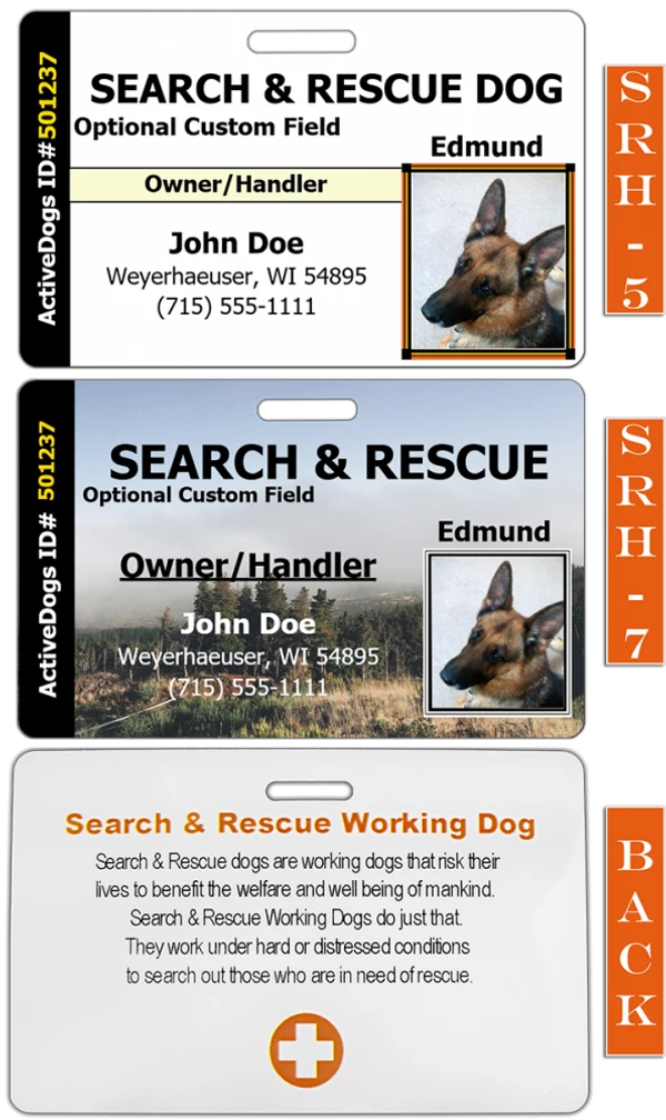 Horizontal Identification Card + Free Digital Copy - Image 4