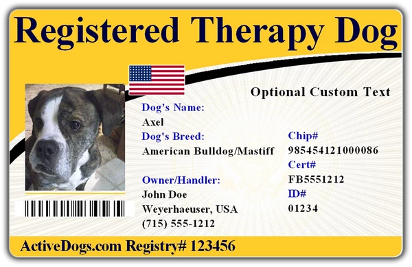 Deluxe Small Therapy Dog Vest Starter Kit - Image 2