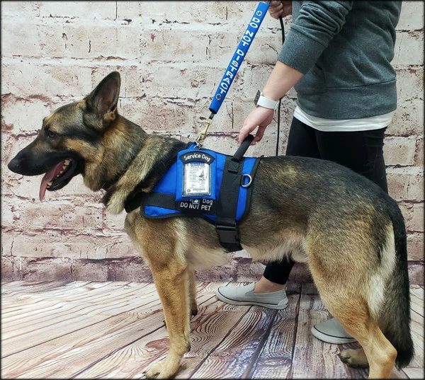 Clip-On Service Dog ID Pouch - Image 4