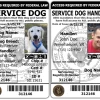 Service Dog And Service Dog Handler ID