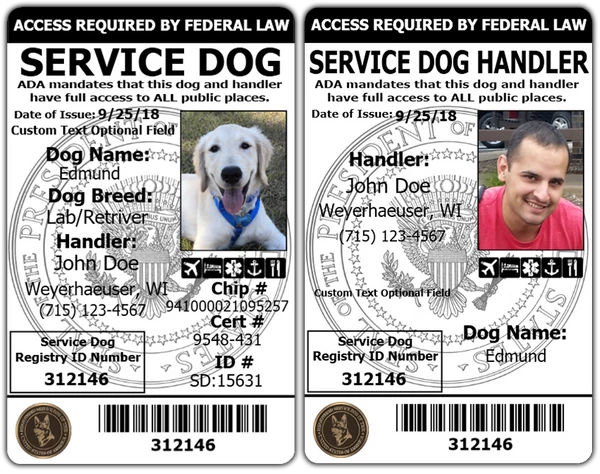 Service Dog And Service Dog Handler ID