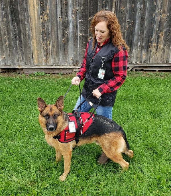 Service Dog And Service Dog Handler ID - Image 2