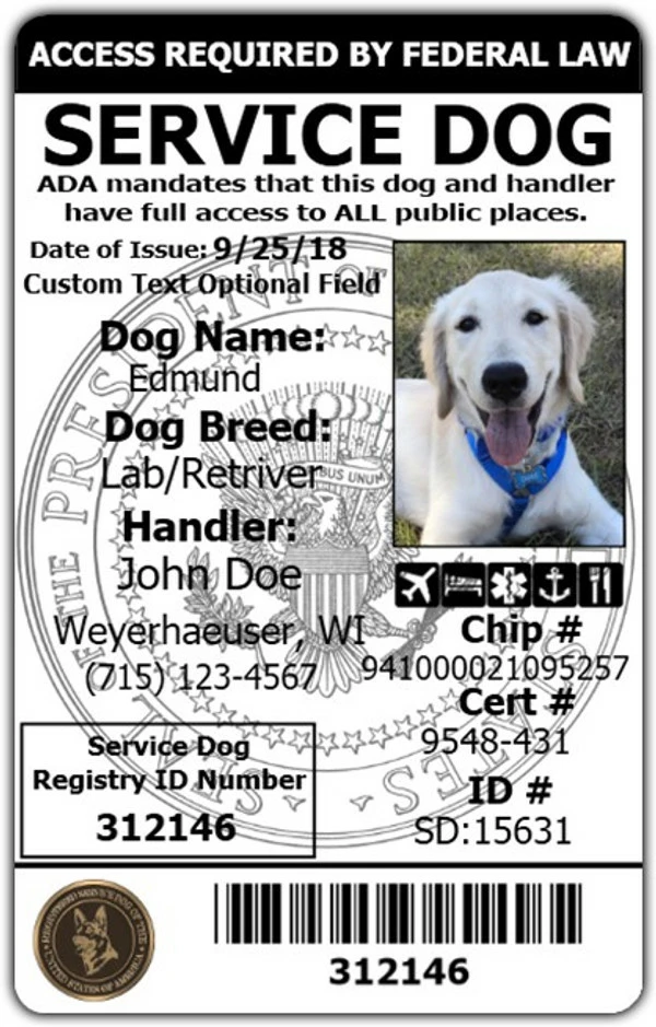 Service Dog And Service Dog Handler ID - Image 7