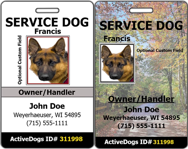 Vertical Identification Card + Free Digital Copy