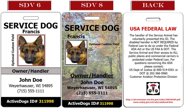 Vertical Identification Card + Free Digital Copy - Image 2