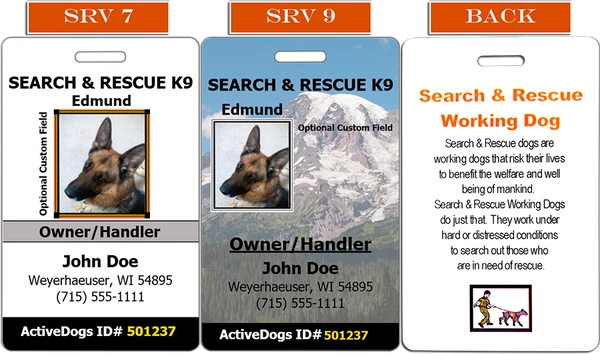 Vertical Identification Card + Free Digital Copy - Image 4