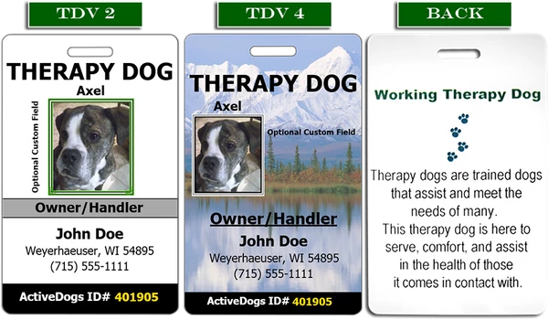 Vertical Identification Card + Free Digital Copy - Image 3