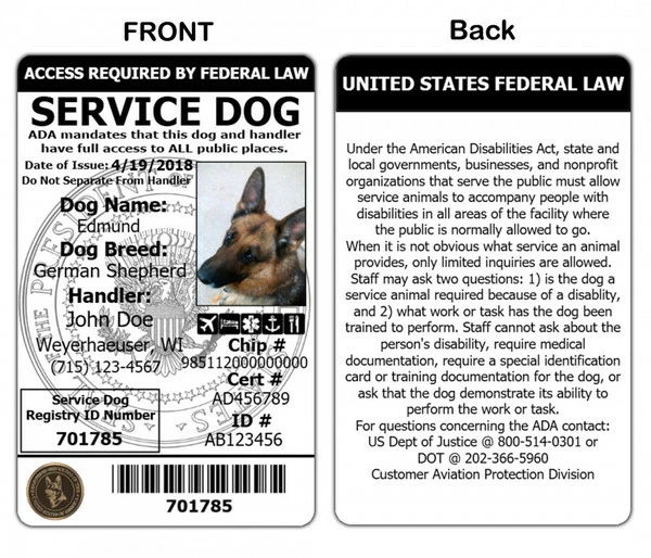 ActiveDogs Registered Service Dog ID Card + 3 Key Tag Cards + Clip-On Carrier + Free Digital Copy - Image 3