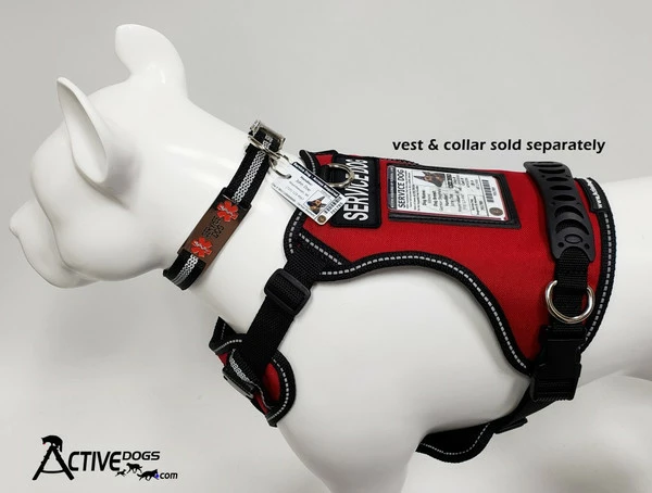 ActiveDogs Registered Service Dog ID Card + 3 Key Tag Cards + Clip-On Carrier + Free Digital Copy - Image 4