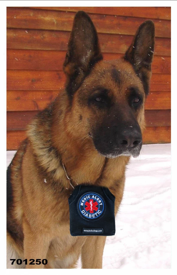 Service Dog Identification Patch Carrier W/ Zippered Pocket - Image 2