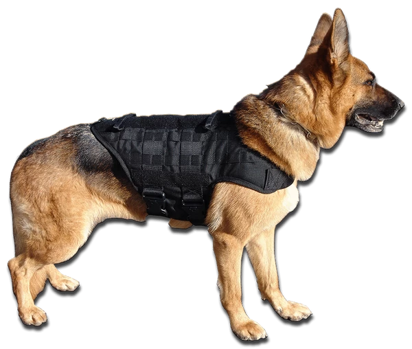 CaliberDog K9 Tactical MOLLE Vest - Image 5