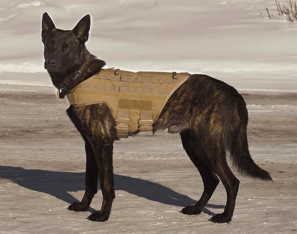 CaliberDog K9 Tactical MOLLE Vest - Image 4